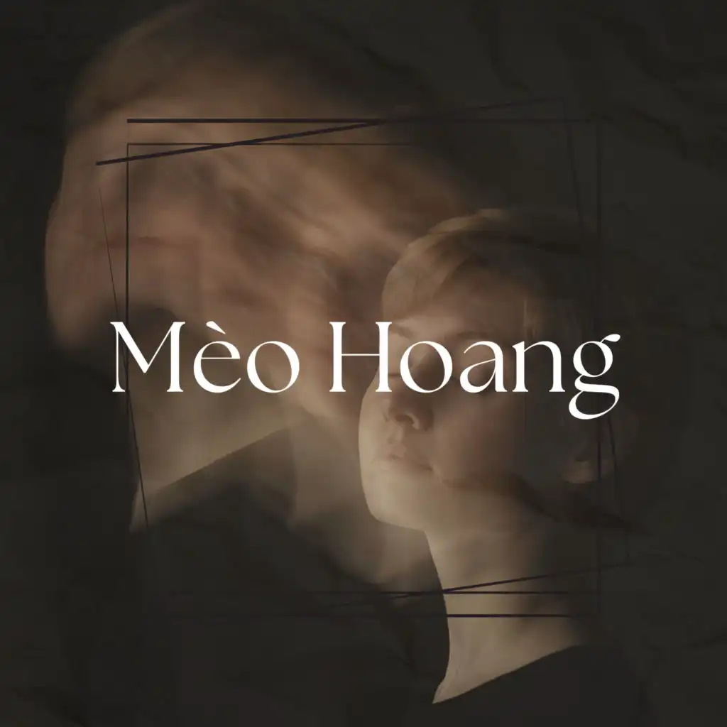 Mèo Hoang