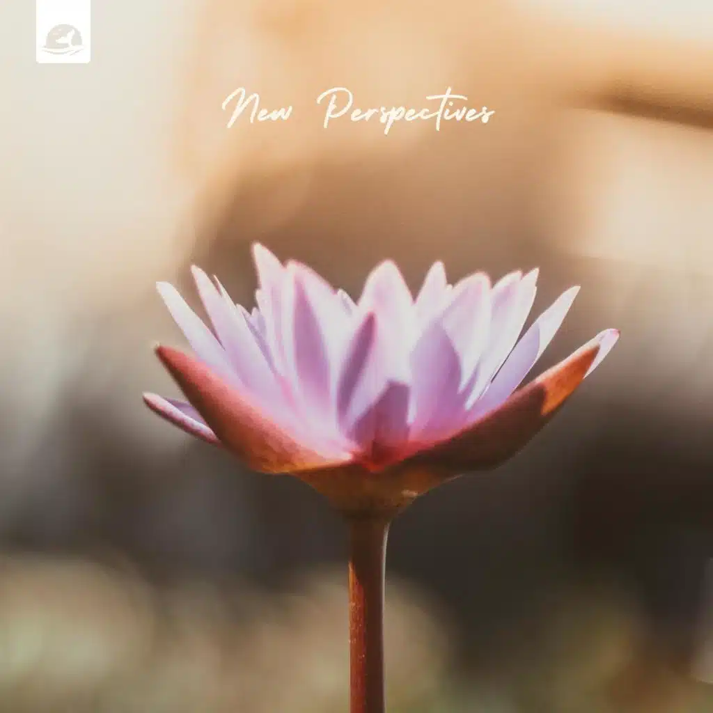 Dream Relaxation & Advaitas