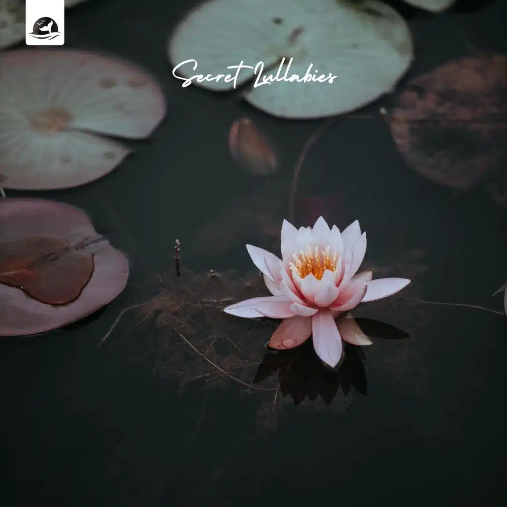 Secret Lullabies