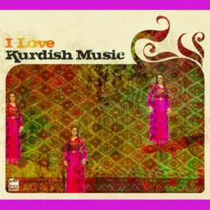 I Love Kurdish Music