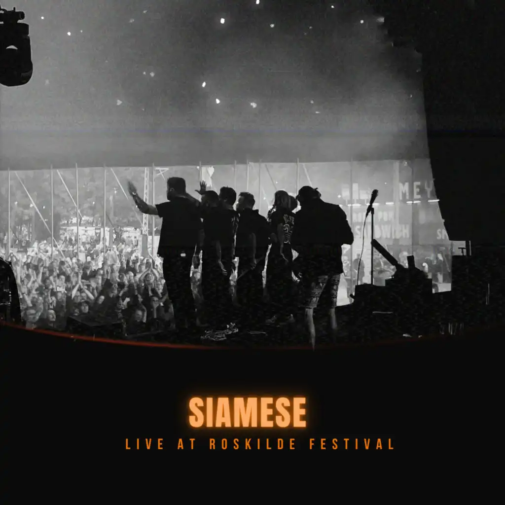 Sloboda (Live At Roskilde Festival)