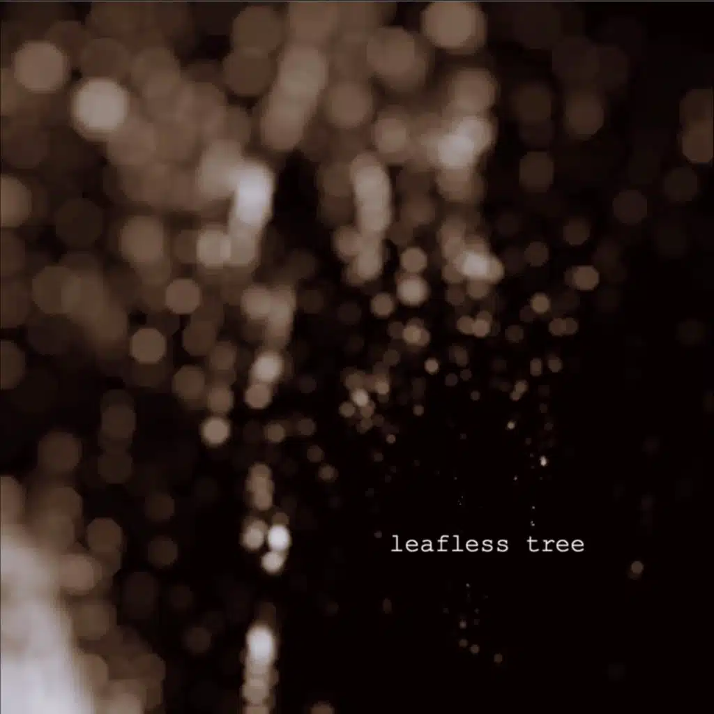 Rainfall on the Parched Ground