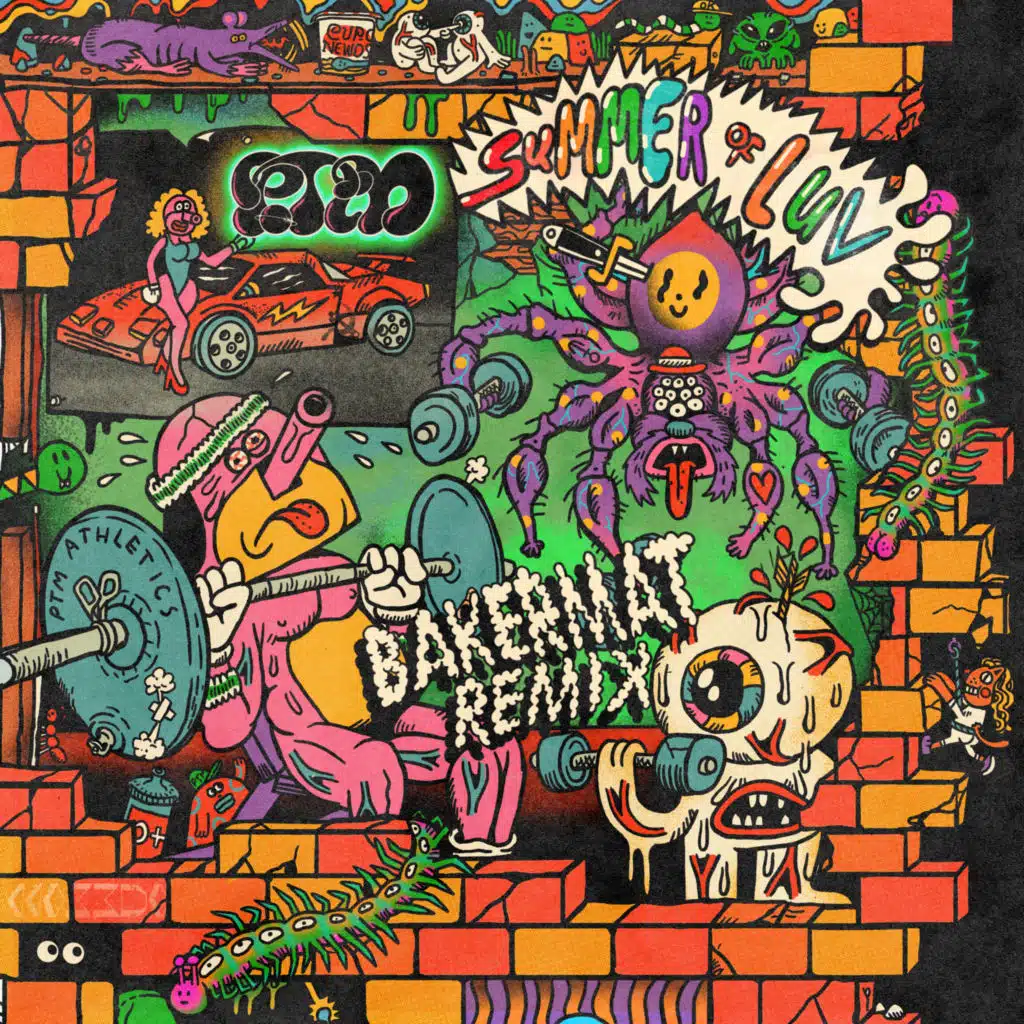 Summer of Luv (feat. Unknown Mortal Orchestra) (Bakermat Remix)