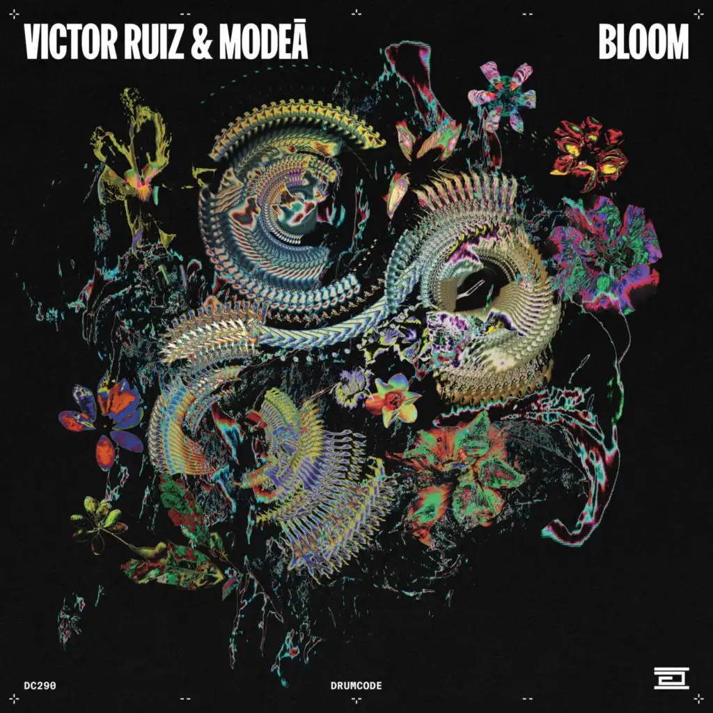 Victor Ruiz & Modeā