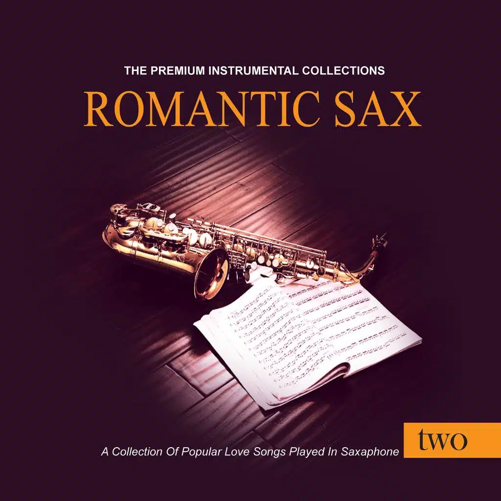She's Like the Wind (Instrumental)