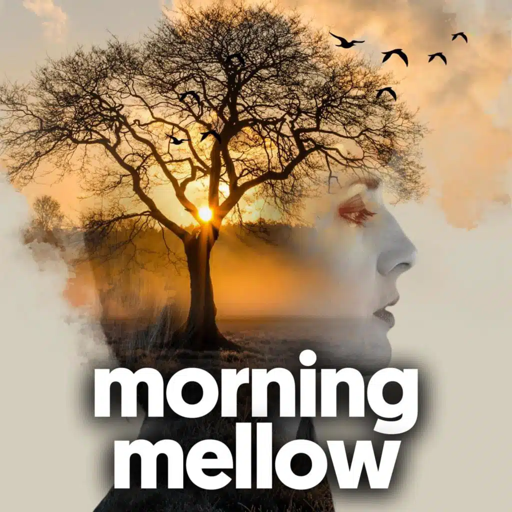 Lindsey B Williams Jr. & Warner Chappell Production Music