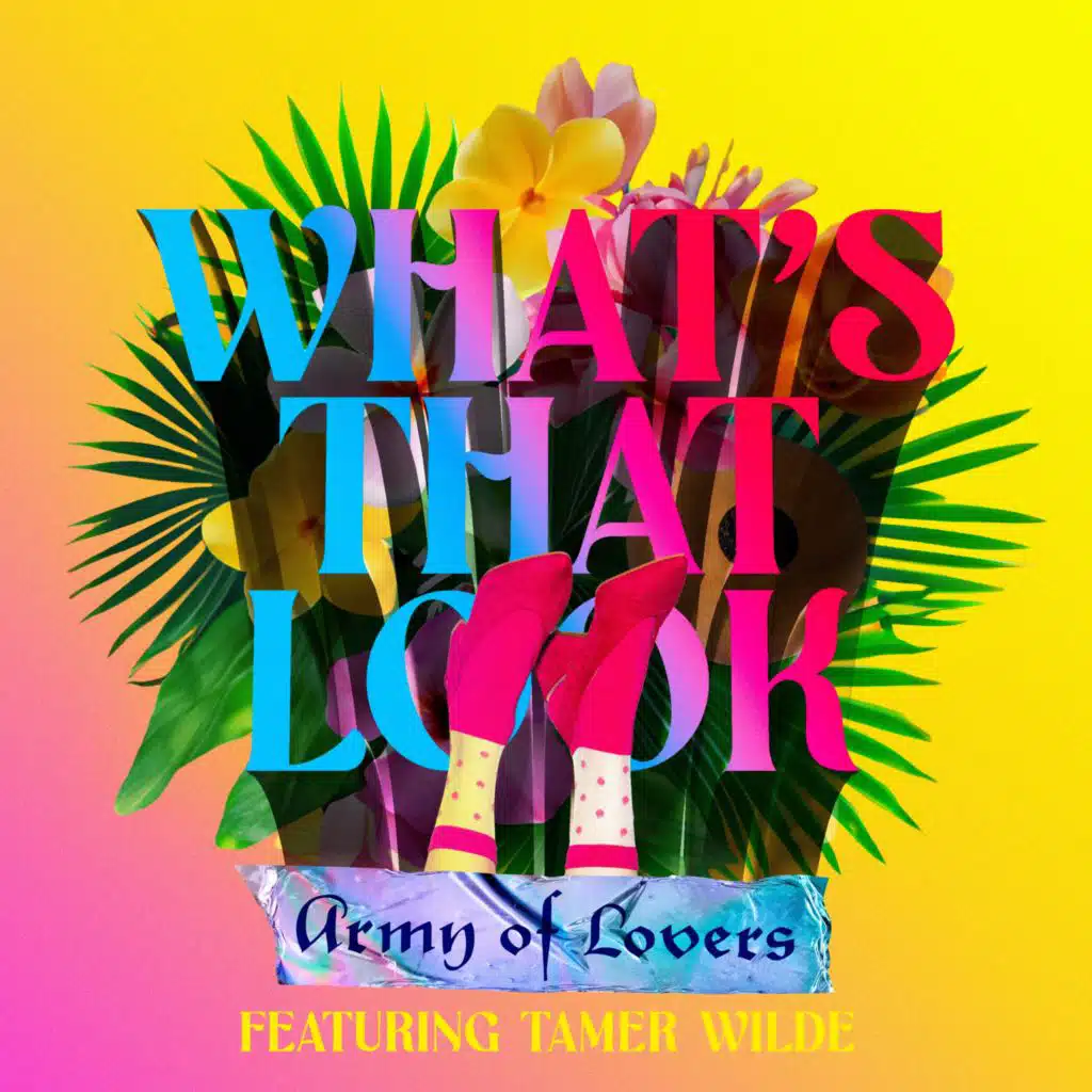 What’s That Look (feat. Tamer Wilde)