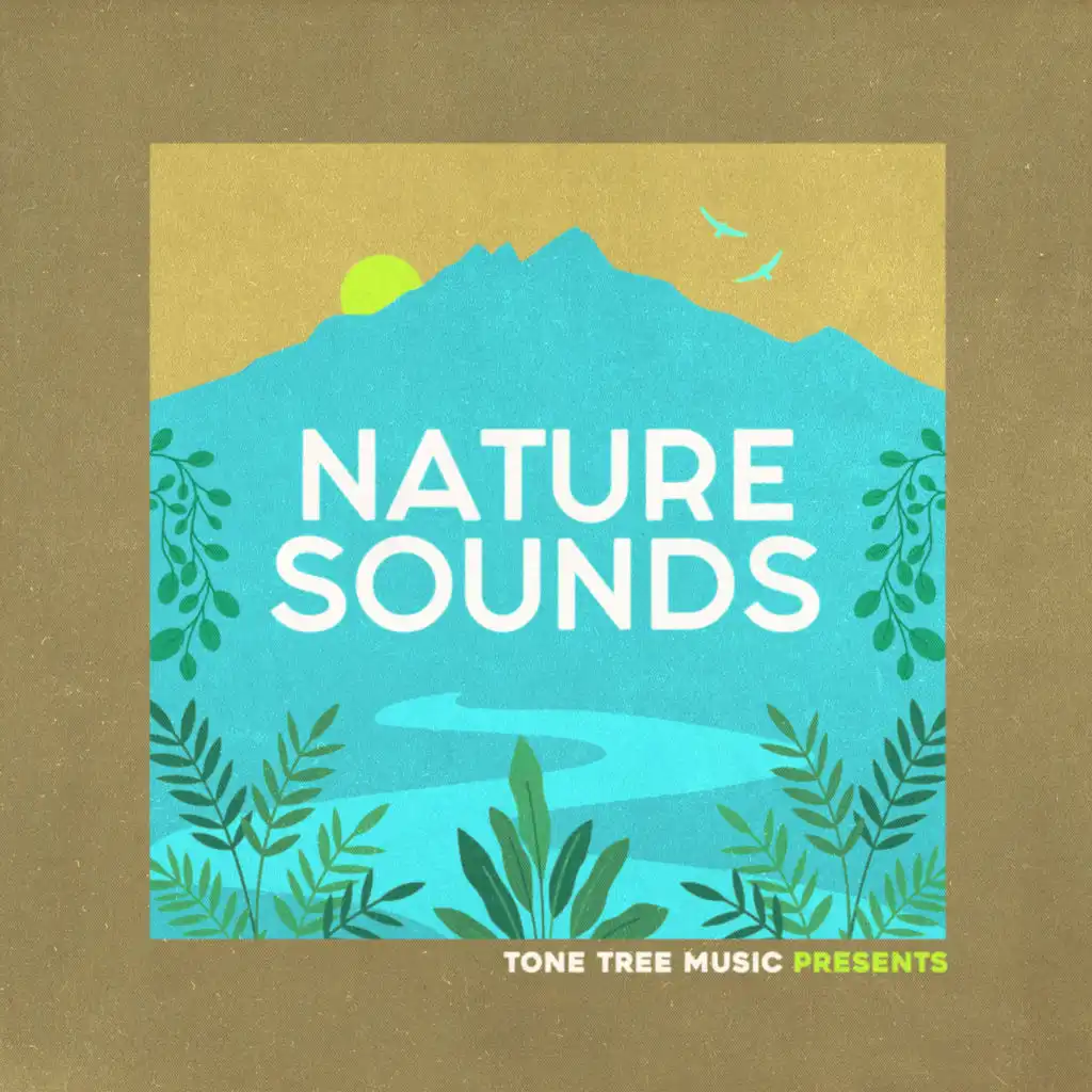 Tone Tree Music Presents: Nature Sounds