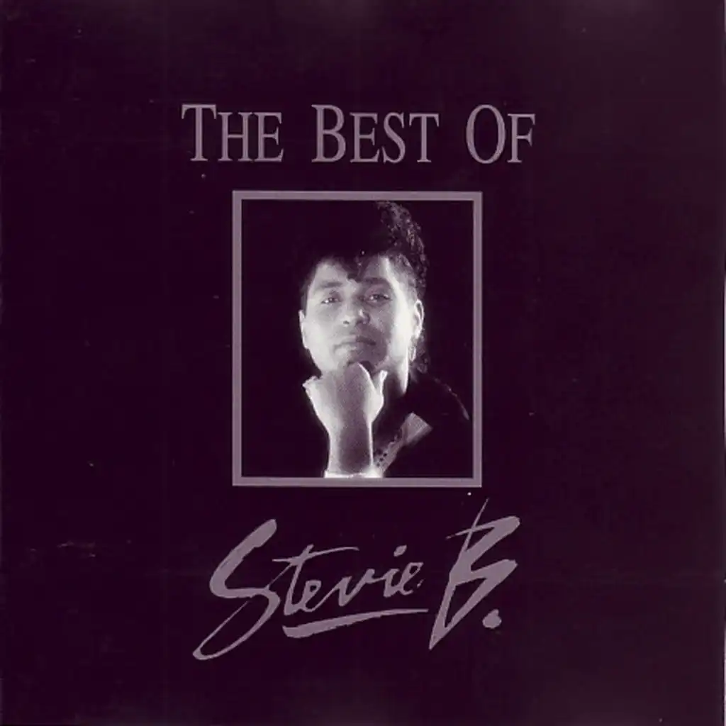 The Best Of Stevie B