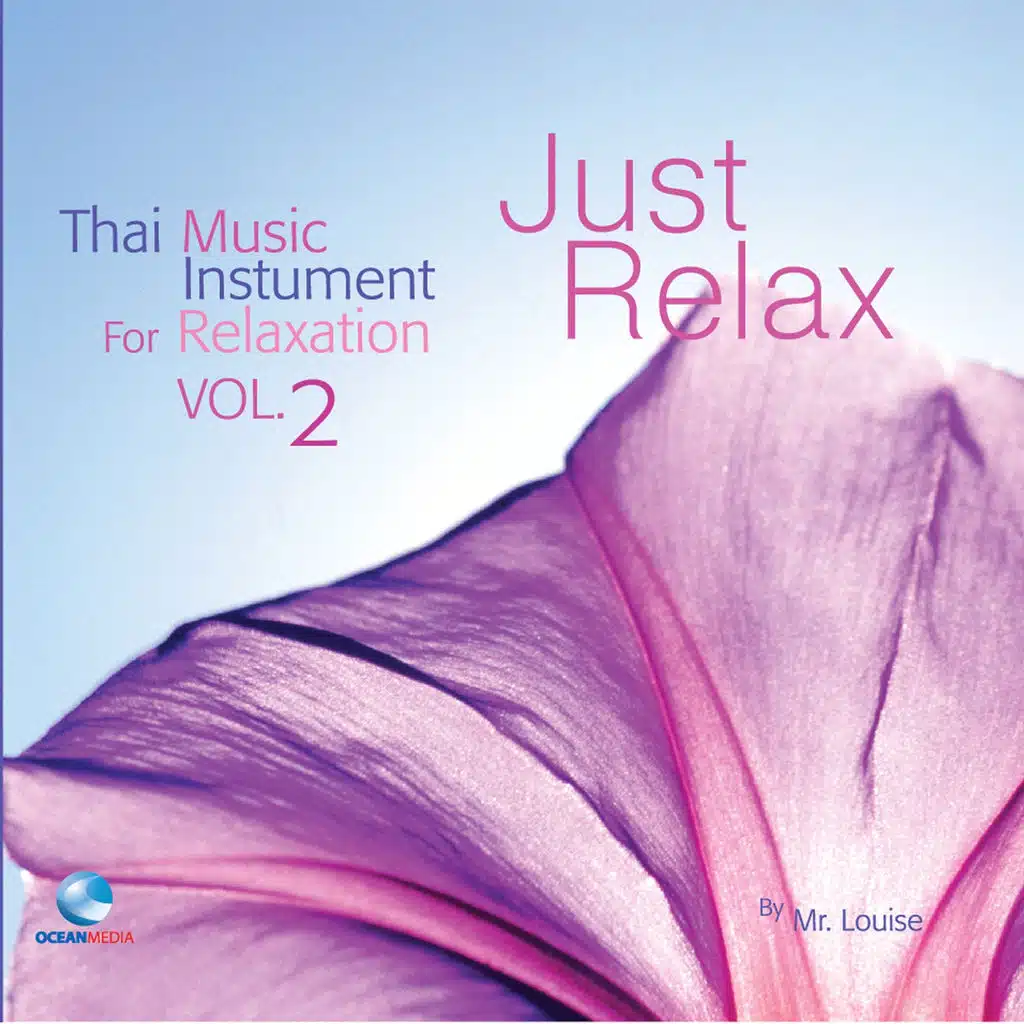บรรเลงไทยคลายอารมณ์, Vol. 2
