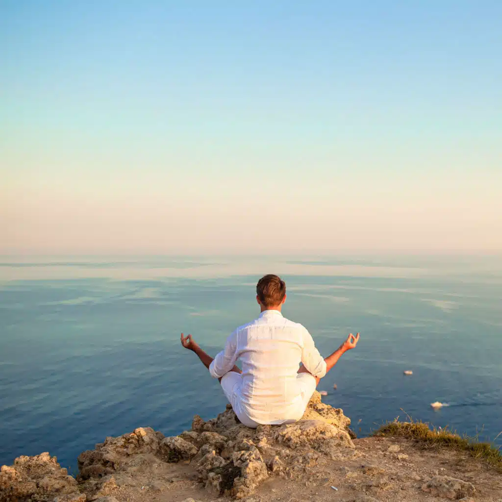 Seashore Mindful Melody: Birds' Ocean Meditation