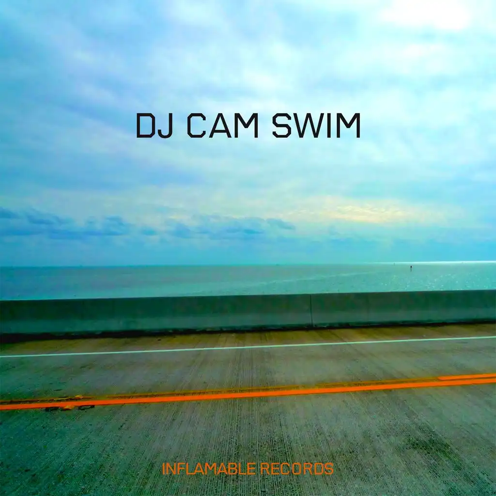 Swim (Radio Version) [feat. Chris James]