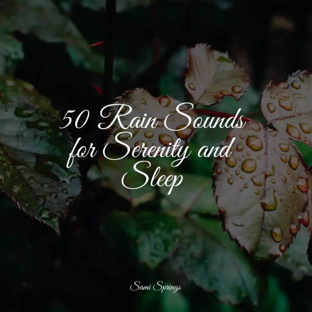 50 Rain Sounds for Serenity and Sleep