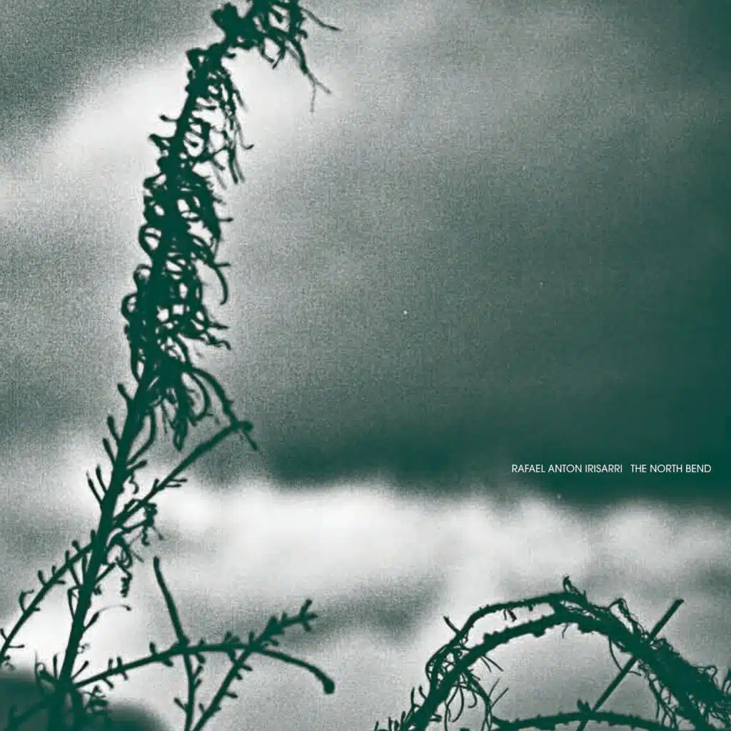 A Great Northern Sigh