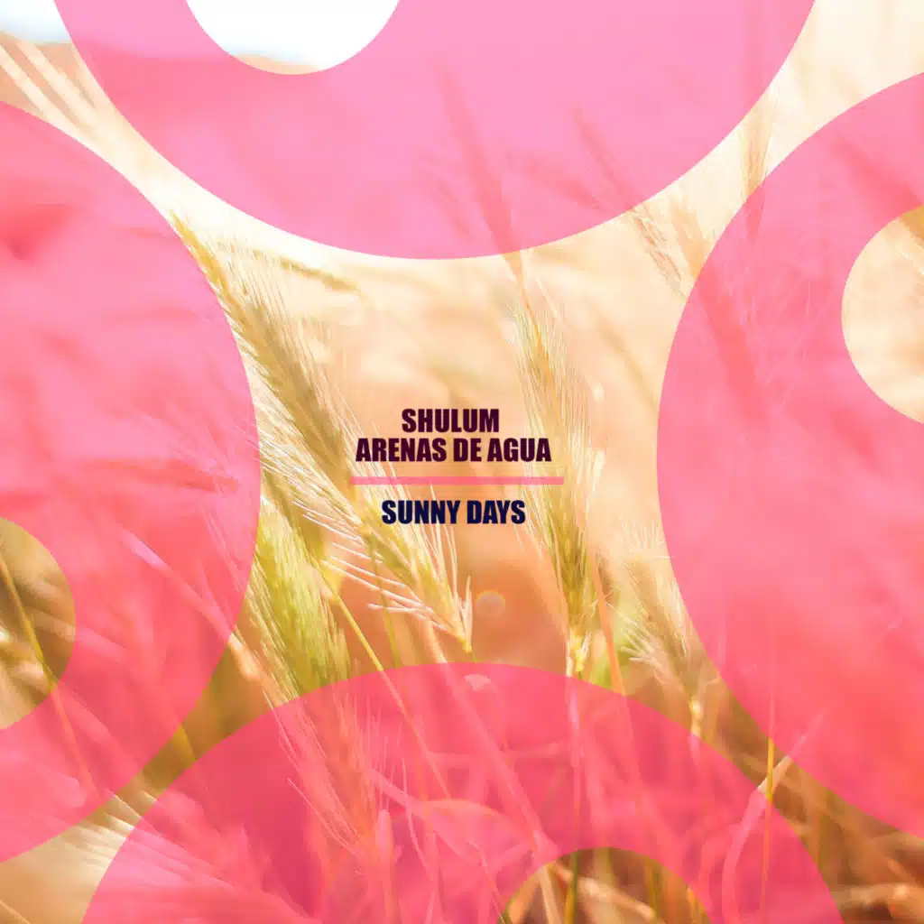 Shulum & Arenas De Agua