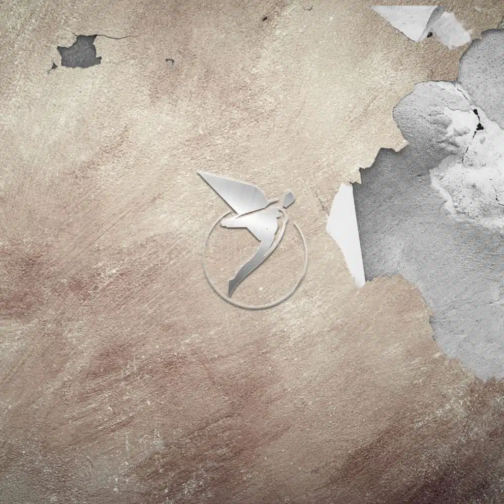 Alessio Pennati & Vincenzo Sarti