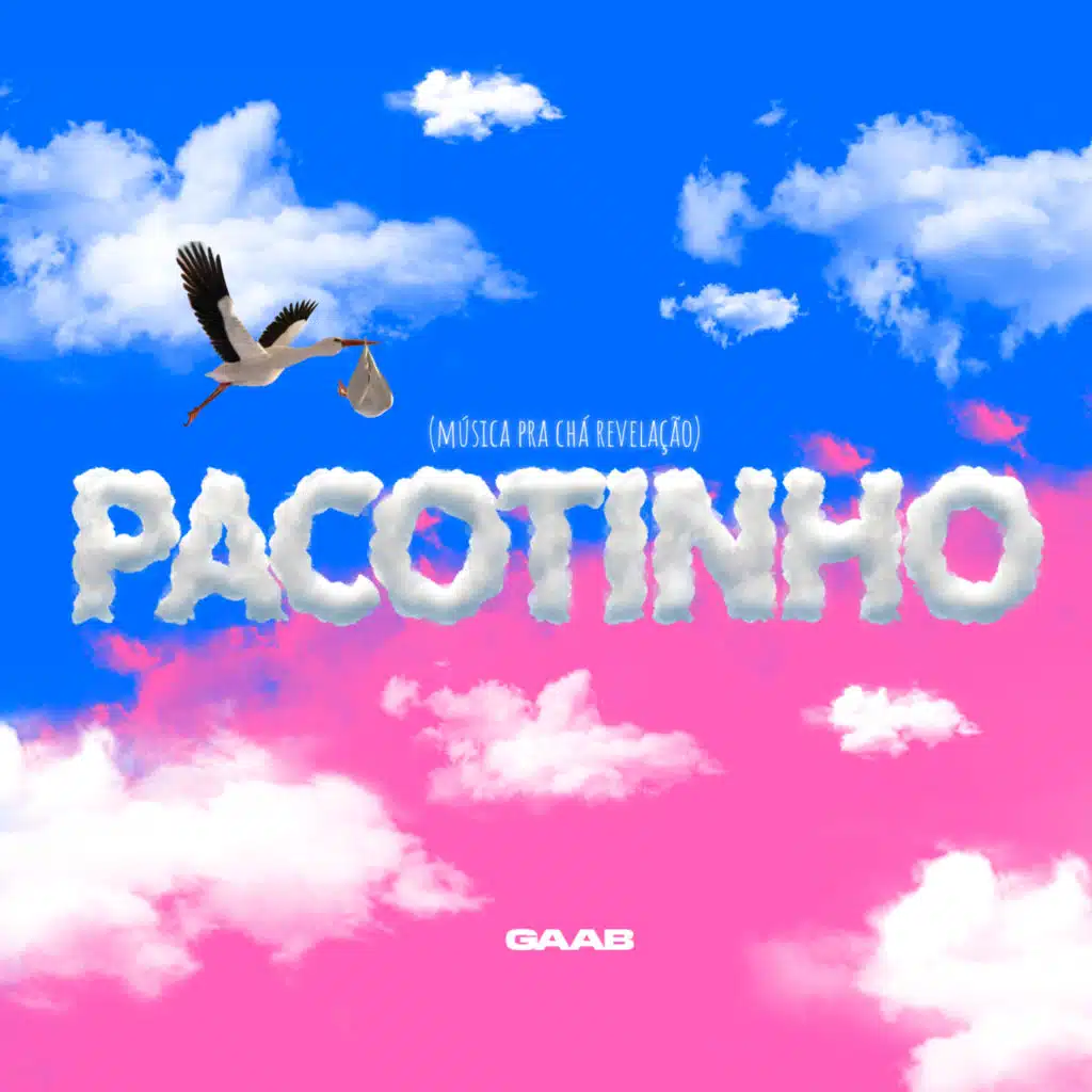 Pacotinho (Música Pra Chá Revelação)