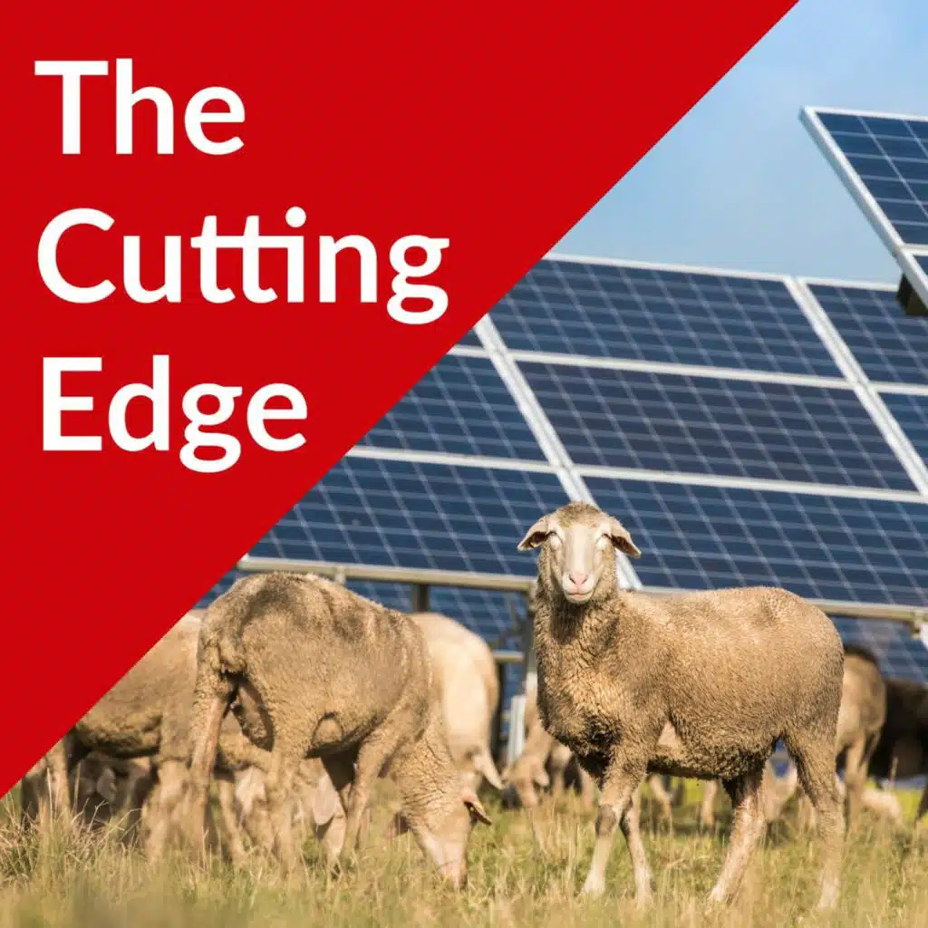 Episode #45: Agrivoltaics Part I, InSPIRE Project