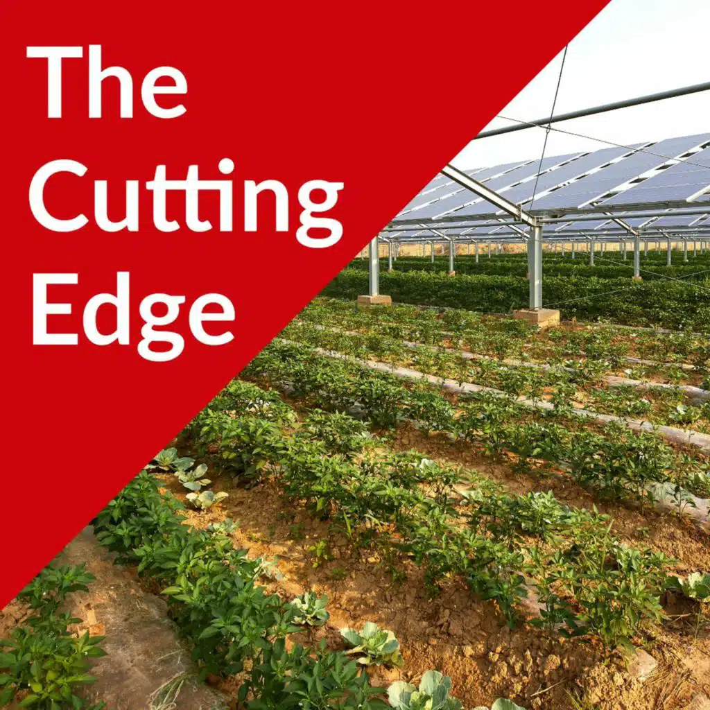 Episode #46: Agrivoltaics Part II, UW Kegonsa Solar Project