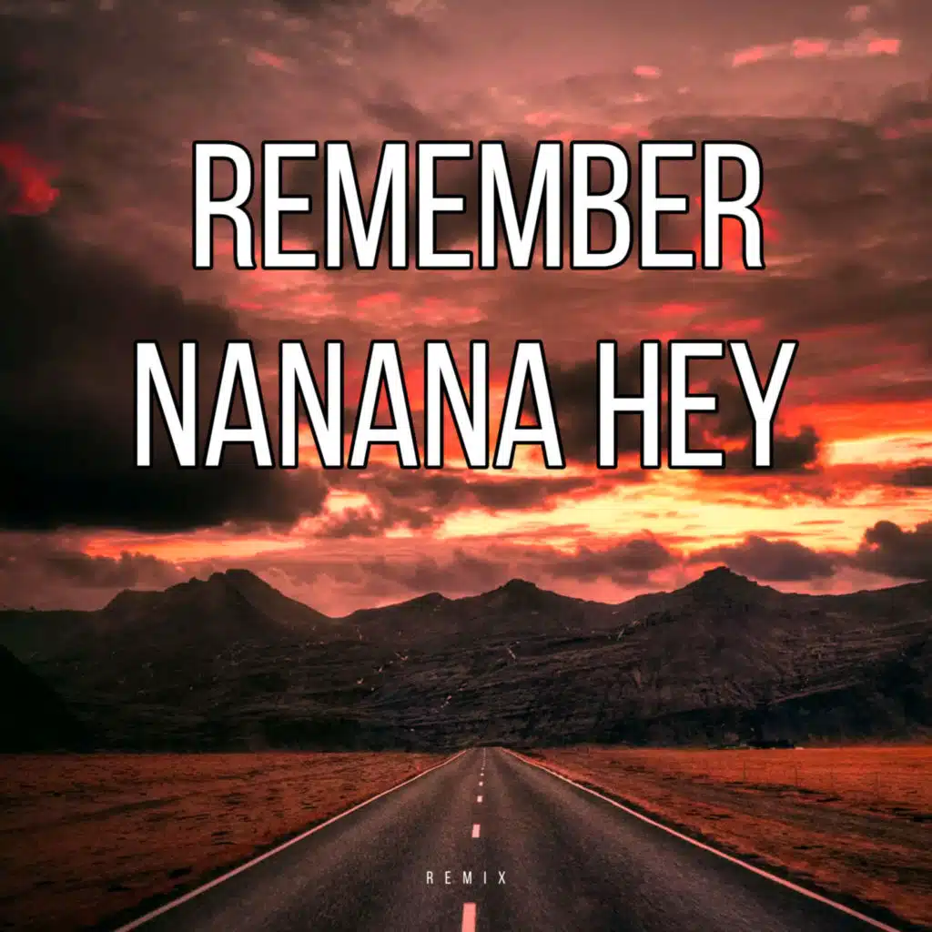 Remember NaNaNa Hey (REMIX) [feat. DAVID TAVARE]