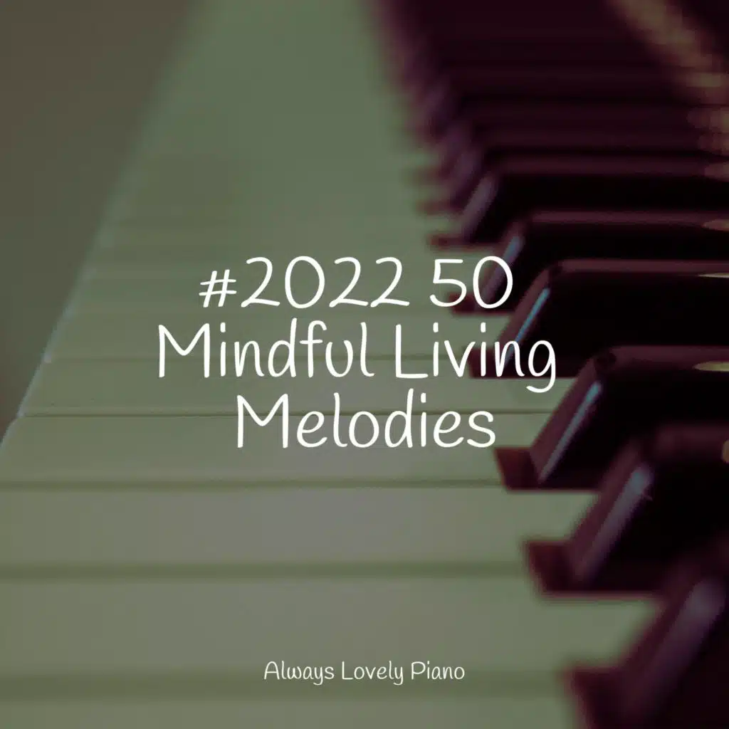 Songs for a Calm Chillout