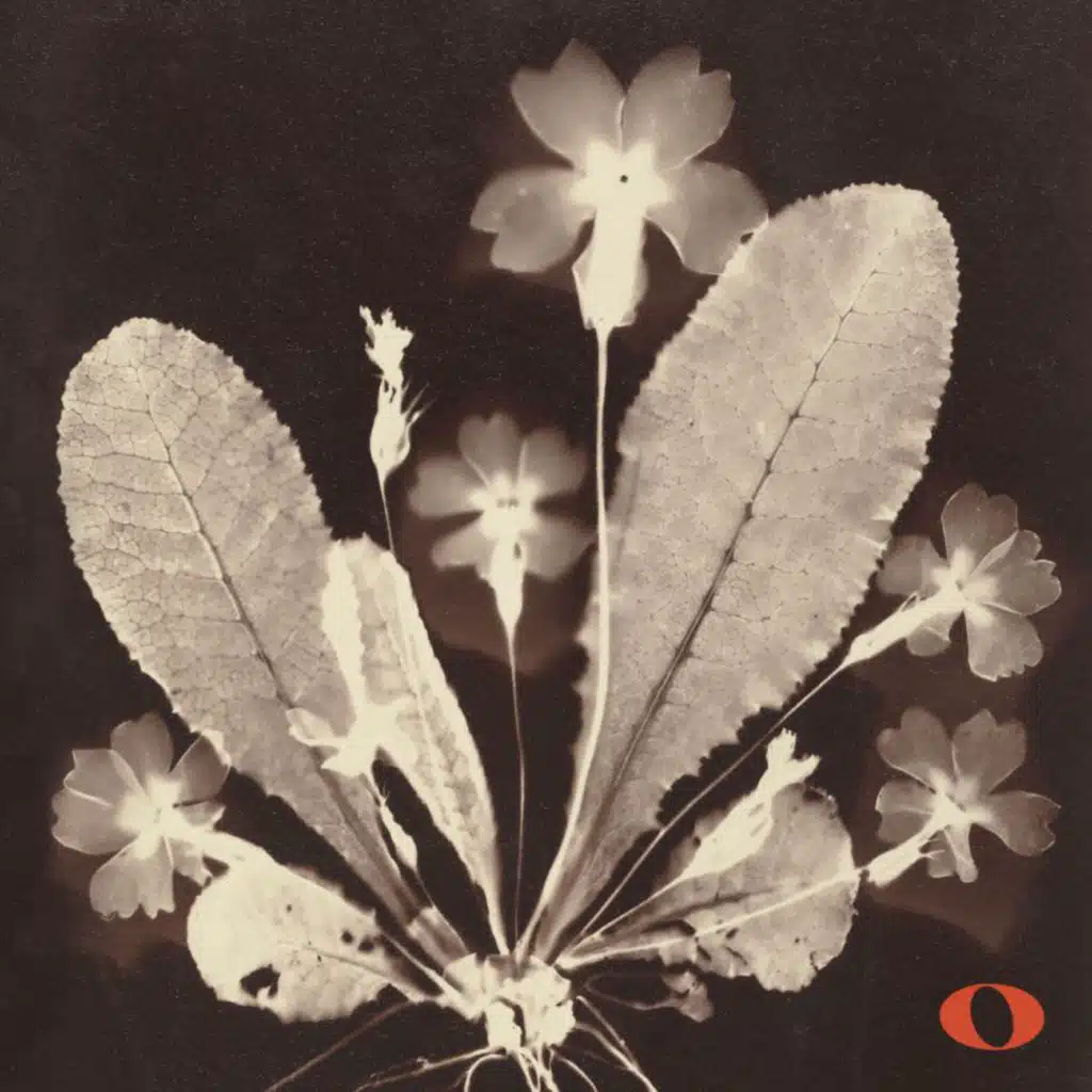 Sechs Gedichte aus dem Liederbuch eines Malers, Op. 36: IV. An den Sonnenschein