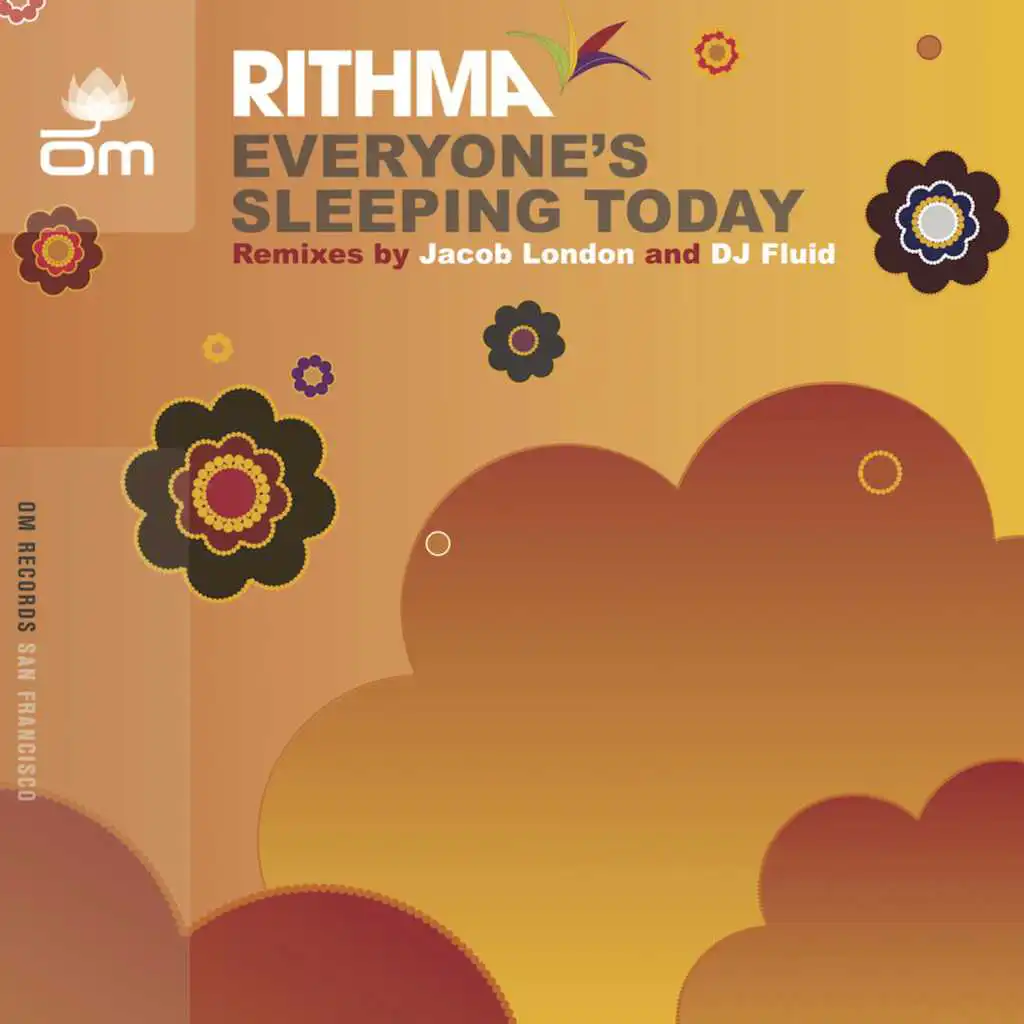 Everyone's Sleeping Today (DJ Fluid Mix)