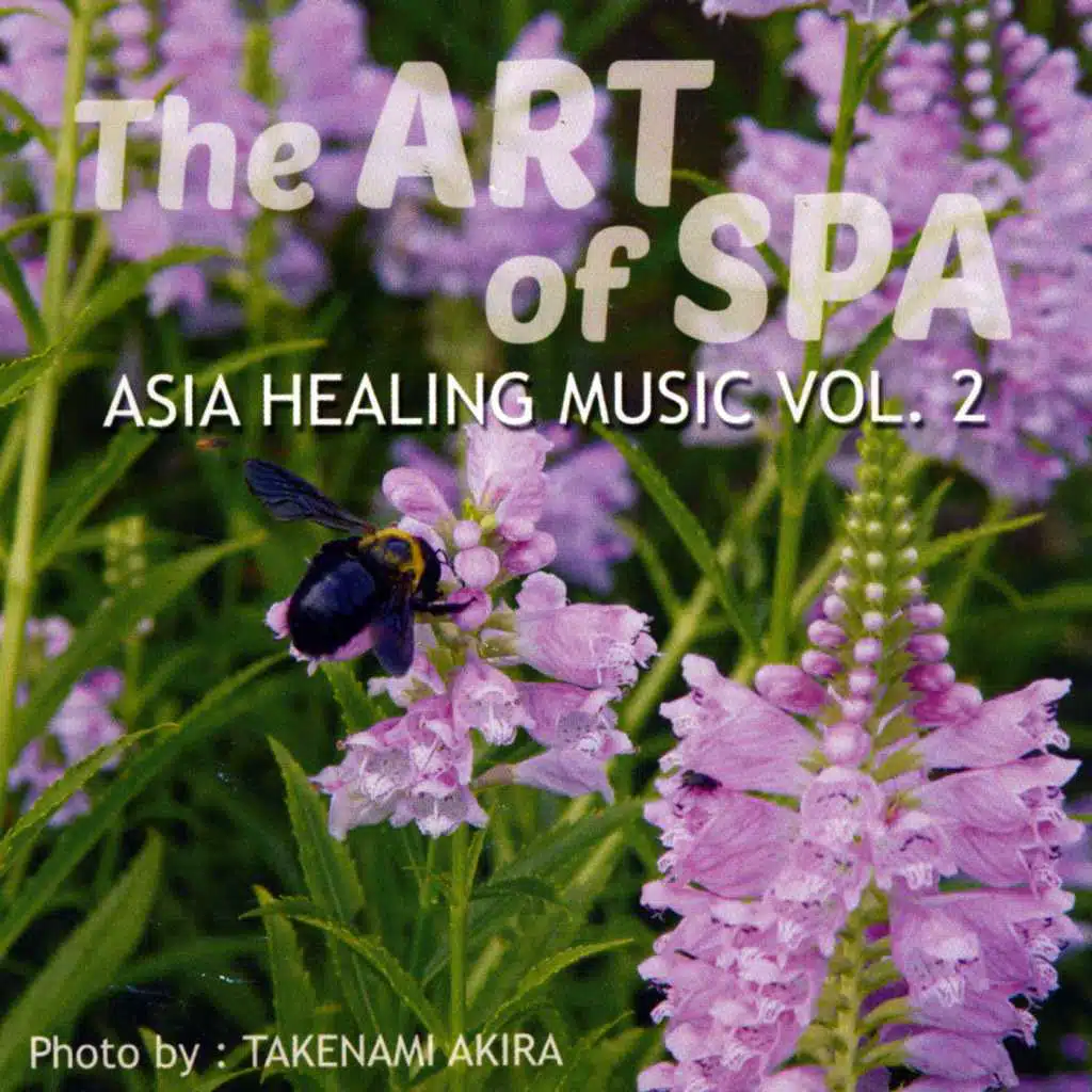 Asia Healing Music, Vol. 2: The Art of Spa