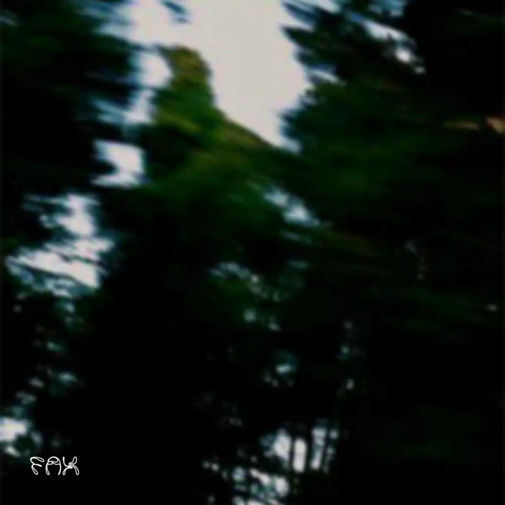 space rocks and wind