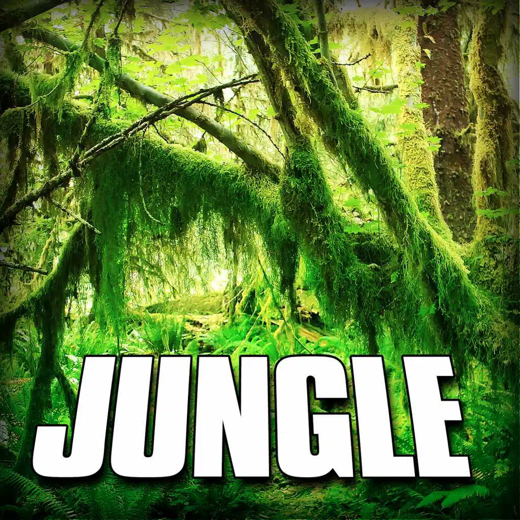 Natural Jungle Wildlife