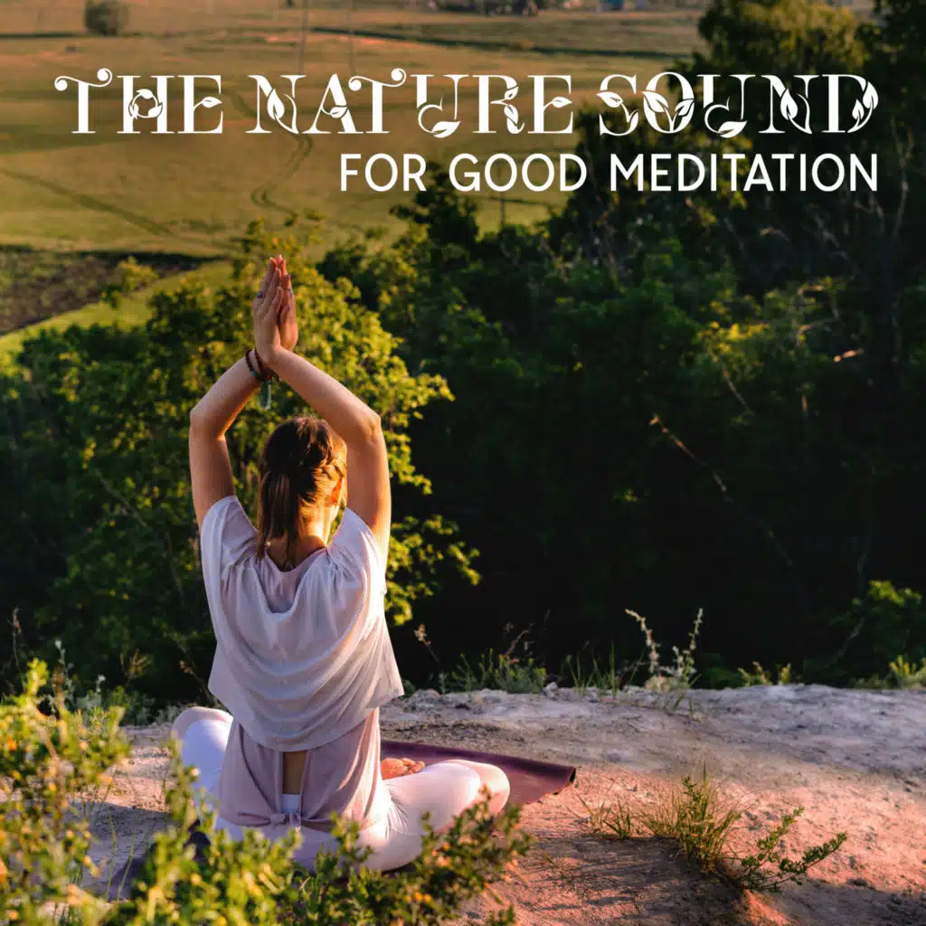 The Nature Sound For Good Meditation