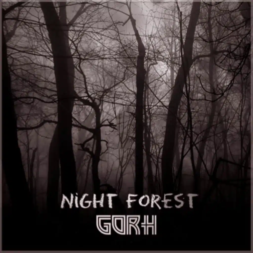 Night Forest