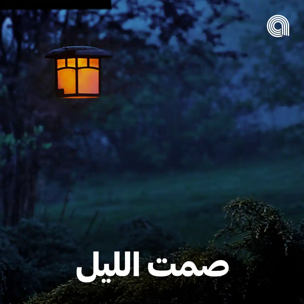صمت الليل