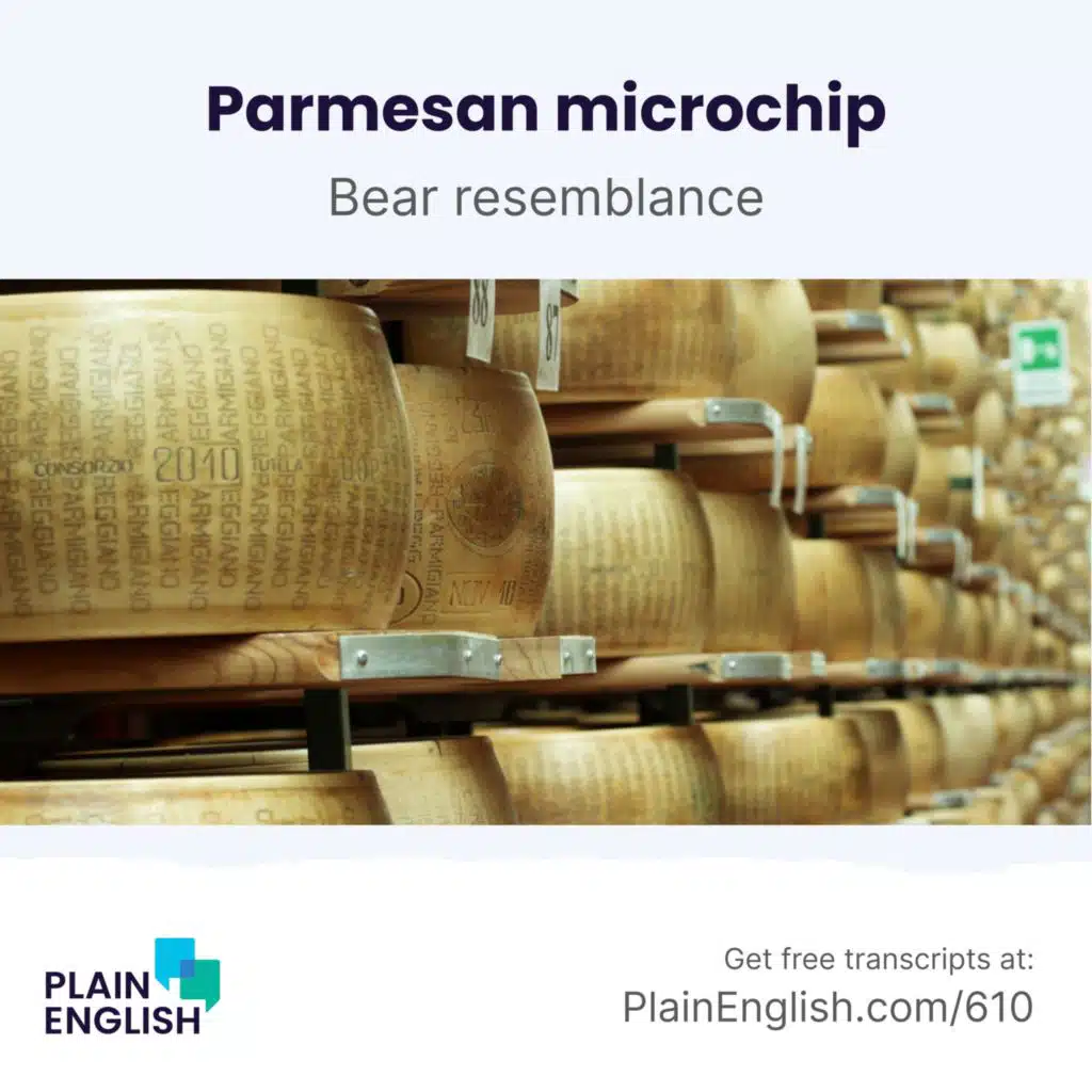 Edible microchips to track authentic Italian cheese | Learn English expression 'bear resemblance to'