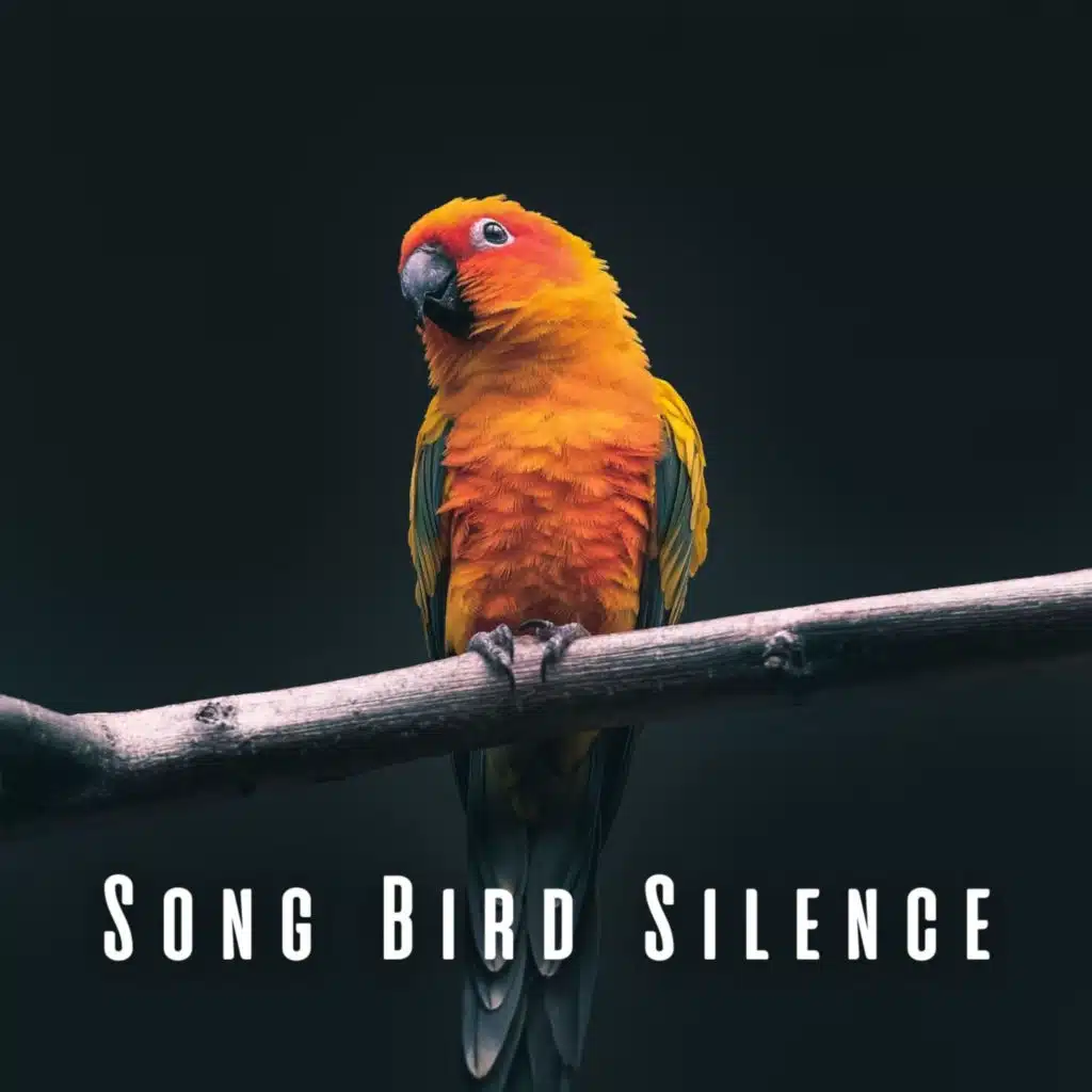 Song Bird Silence: Heavy Rain Relaxation
