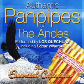 Panpipes of the Andes