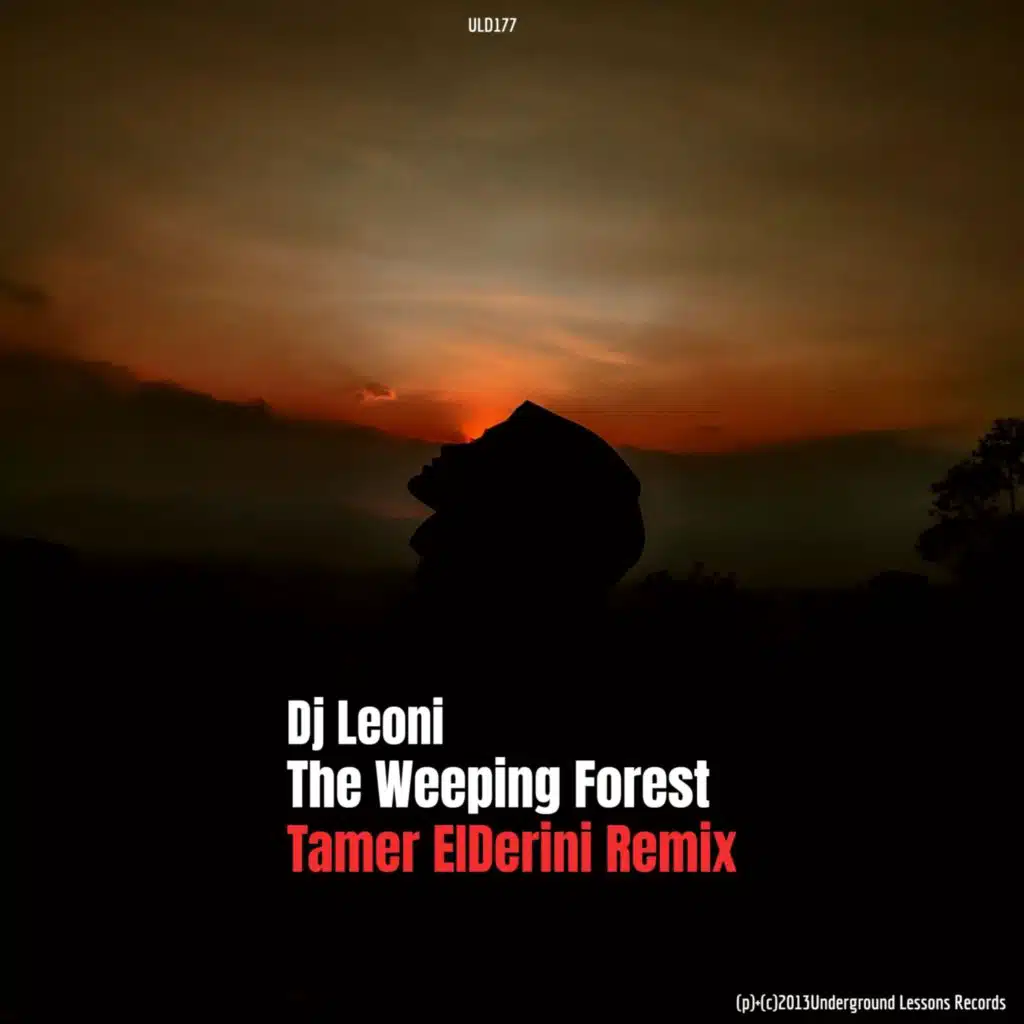 The Weeping Forest (Tamer ElDerini Remix)