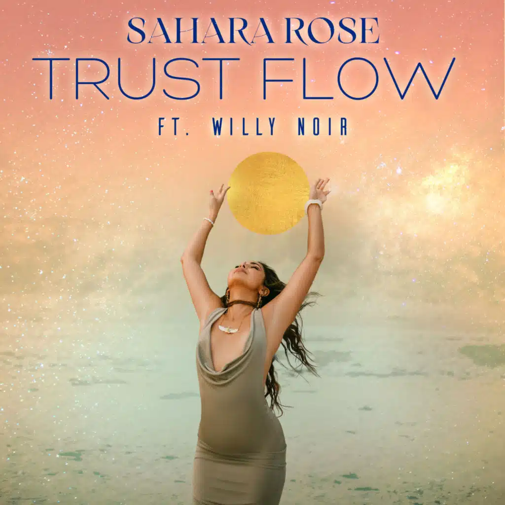 Trust Flow (feat. WillyNoir)