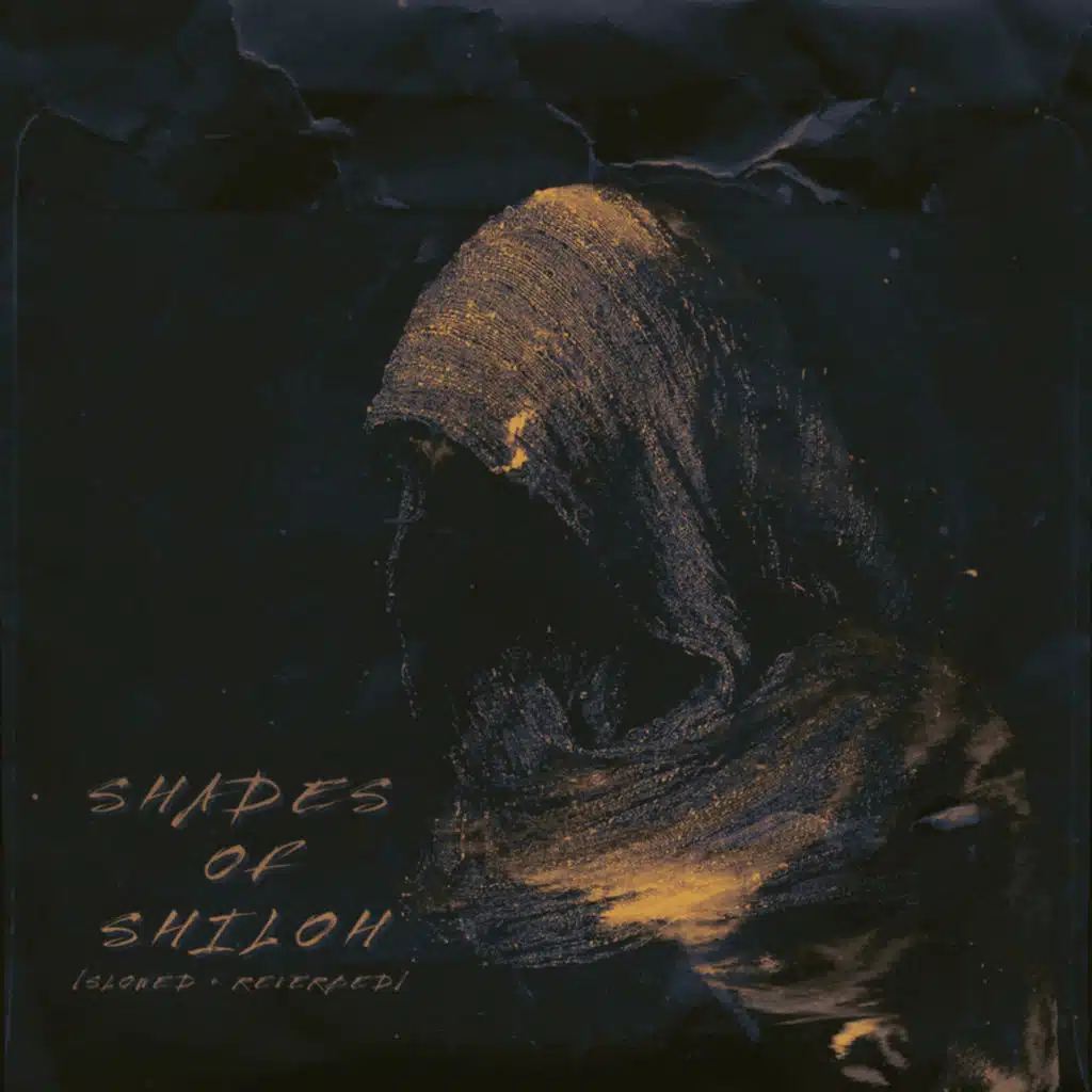 Would It Make You Love Me (Slowed & Reverbed)