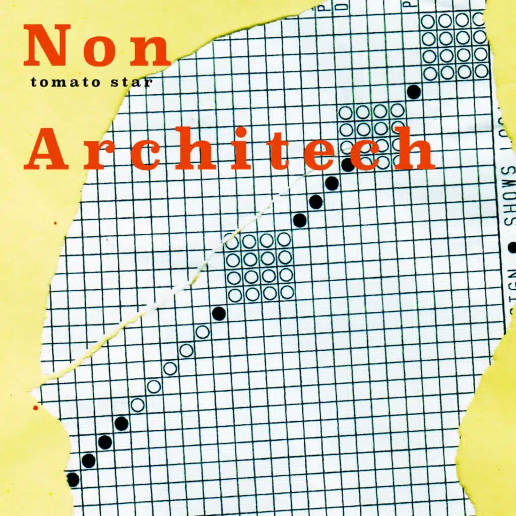 Non Architech