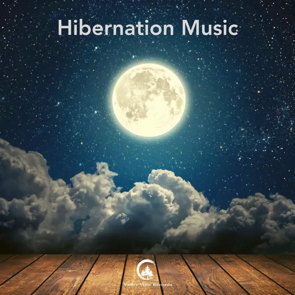 Hibernation Music