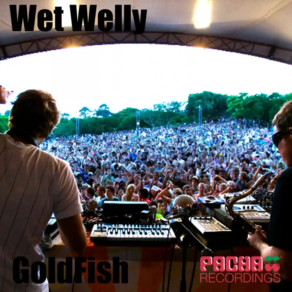 Wet Welly (Tomas Hedberg Remix)