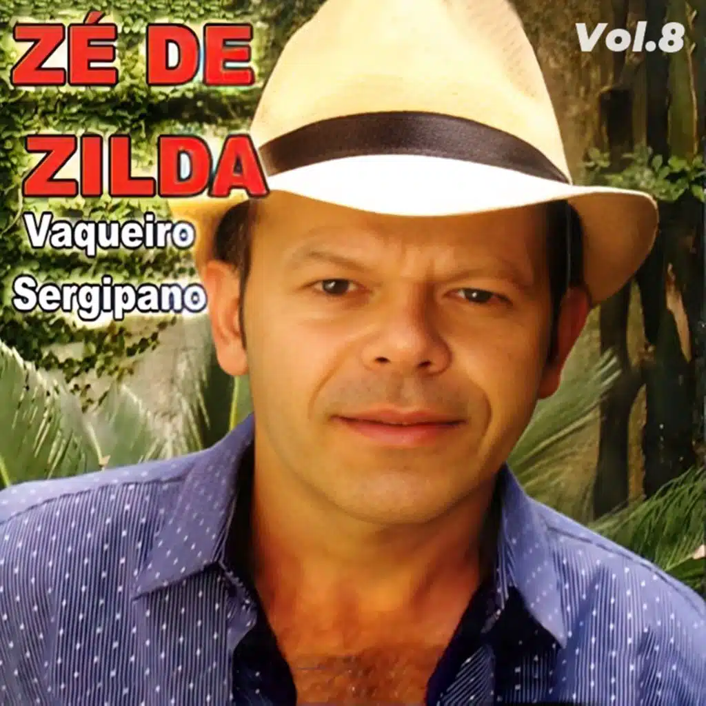 Zé de Zilda