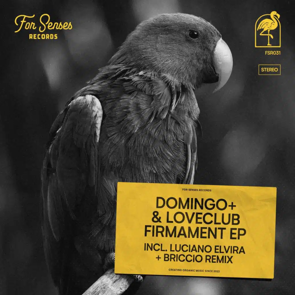 Firmament (Luciano Elvira Remix)