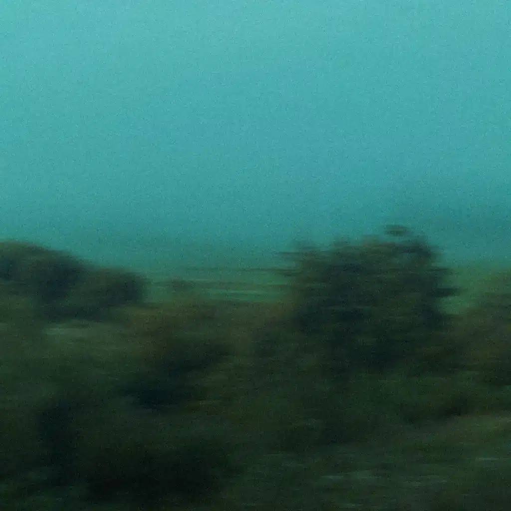 короткое северное лето