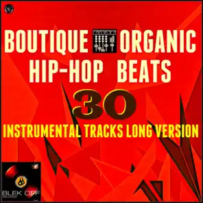 Boutique Organic Hip Hop Beats (30 Instrumental Tracks Long Version)