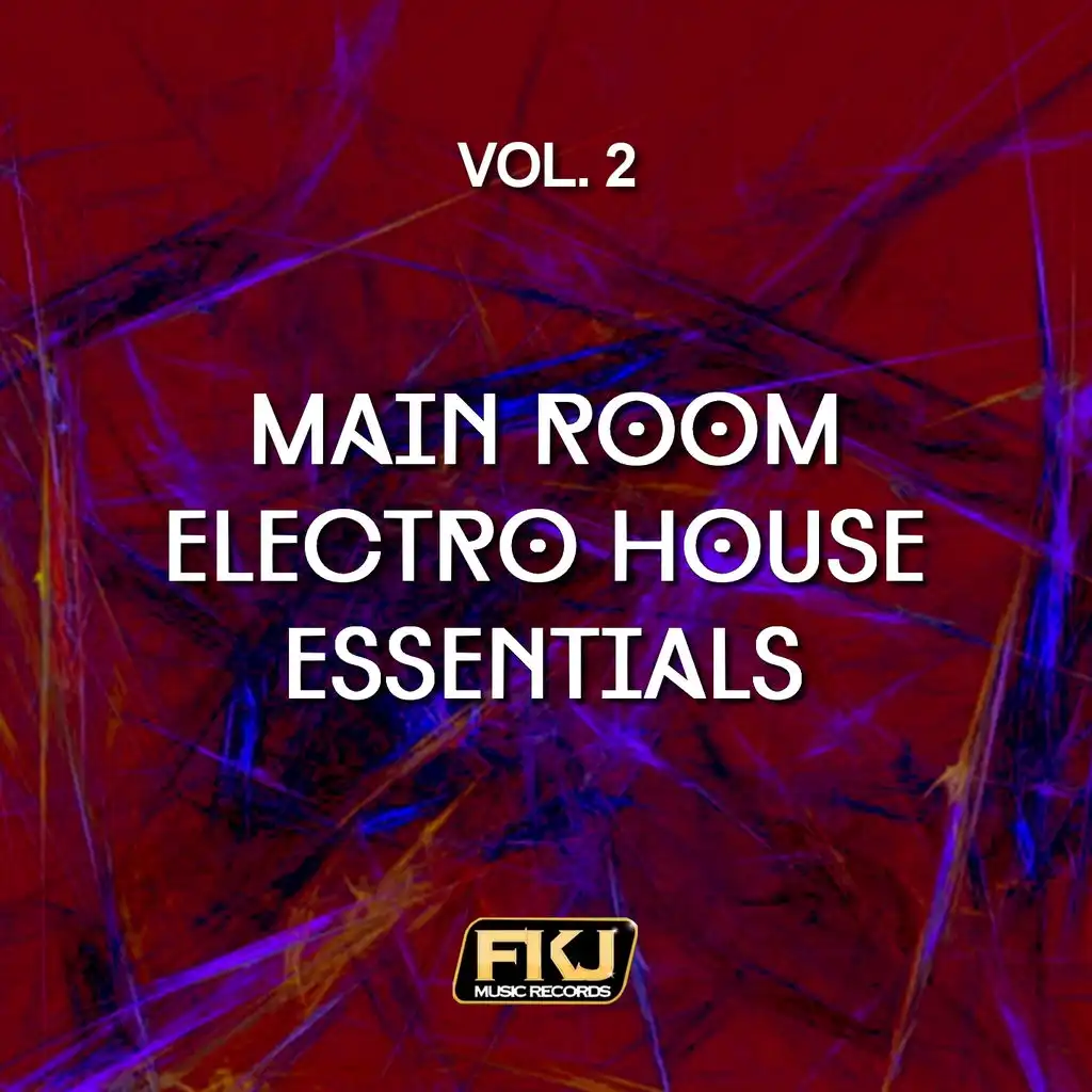 Main Room Electro House Essentials, Vol. 2