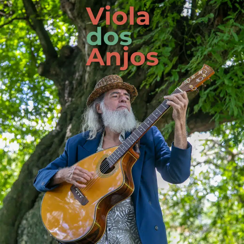 Viola dos Anjos