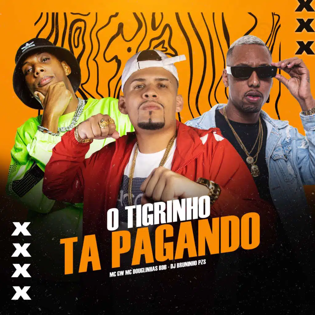 O TIGRINHO TA PAGANDO (feat. MC GW, Dj Bruninho Pzs & DG PROD)