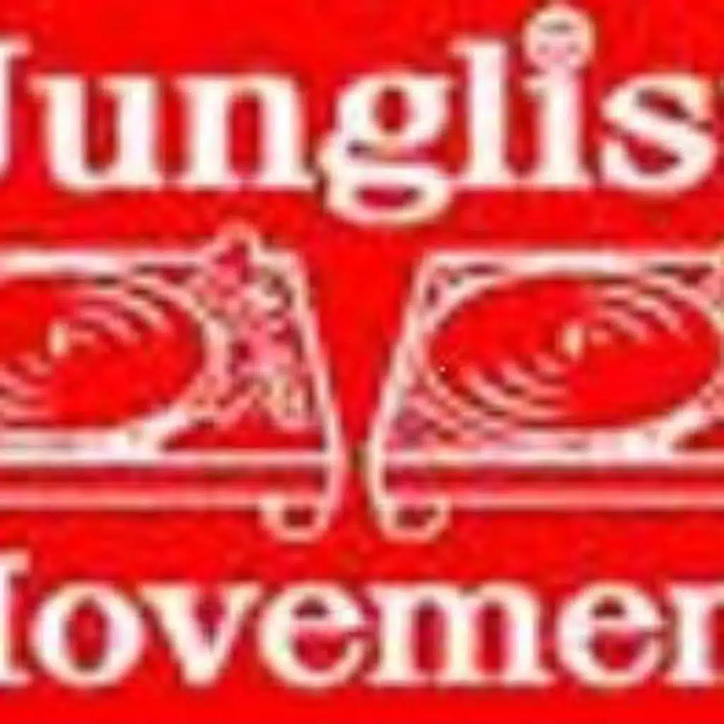 drum and bass + jungle = d bridge to 2010
